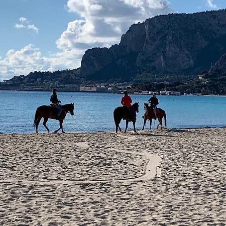 Mondello Luxury Apartmán *